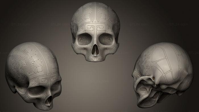 Anatomy of skeletons and skulls (Labyrinth Skull, ANTM_0154) 3D models for cnc
